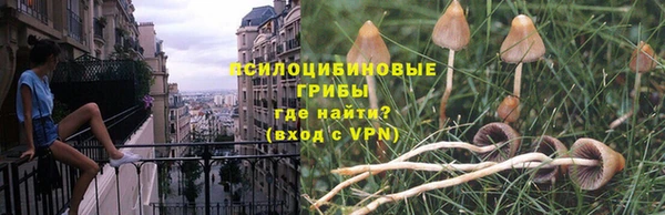 мдпв Щёлкино